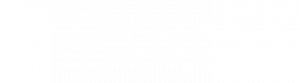IT-Systemhaus Wesemann Logo weiß
